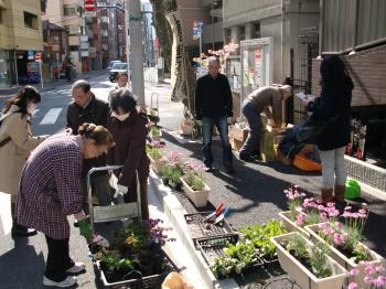 2011.03.12 sarugaku gardening CIMG0630.JPG